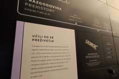 5. razred v šolskem muzeju  