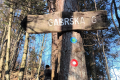Planinski pohod na Gabrško goro