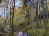 IMG_20241022_092031