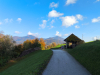 IMG_20241022_095250