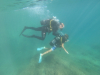 DCIM\100GOPRO\GOPR3177.JPG